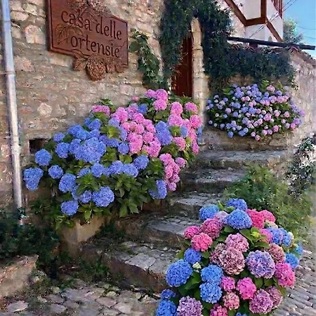 ベッド・アンド・ブレックファスト Casa Delle Ortensie