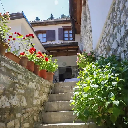 Casa Delle Ortensie * ベラト